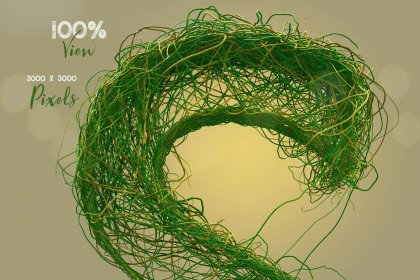 Botanica - watercolor set - Illustrations - 1