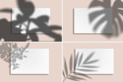 Botanica - watercolor set - Illustrations - 1