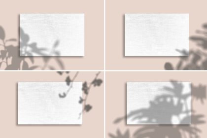 Botanica - watercolor set - Illustrations - 1