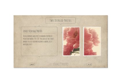 Botanica - watercolor set - Illustrations - 1