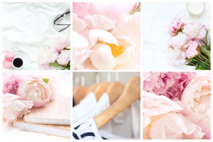 Botanica - watercolor set - Illustrations - 1