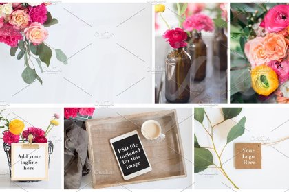 Botanica - watercolor set - Illustrations - 1