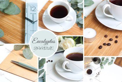 Botanica - watercolor set - Illustrations - 1