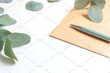 Botanica - watercolor set - Illustrations - 1