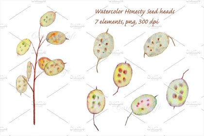 Botanica - watercolor set - Illustrations - 1