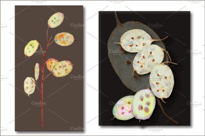 Botanica - watercolor set - Illustrations - 1