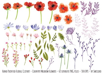 Botanica - watercolor set - Illustrations - 1