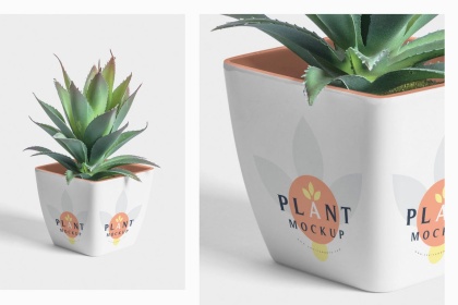Botanica - watercolor set - Illustrations - 1