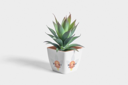 Botanica - watercolor set - Illustrations - 1