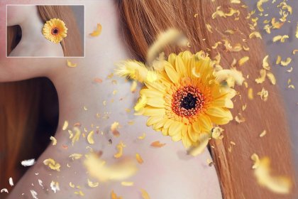 Botanica - watercolor set - Illustrations - 1