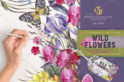 Botanica - watercolor set - Illustrations - 1