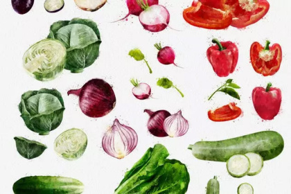 Botanica - watercolor set - Illustrations - 1