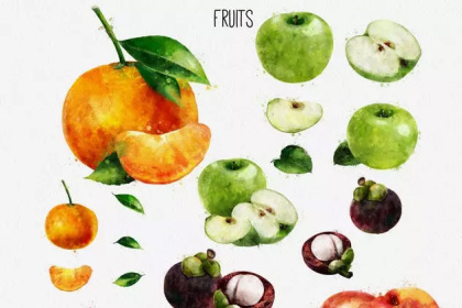 Botanica - watercolor set - Illustrations - 1