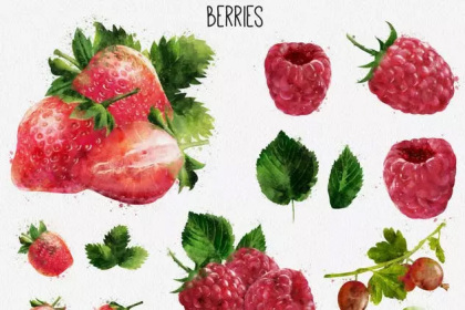 Botanica - watercolor set - Illustrations - 1