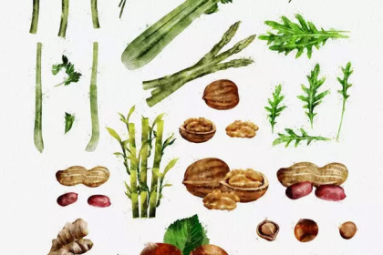 Botanica - watercolor set - Illustrations - 1