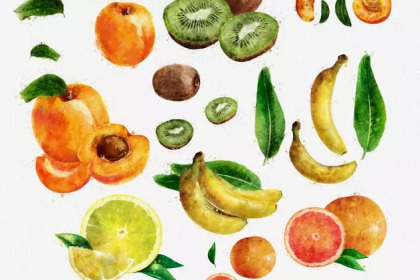 Botanica - watercolor set - Illustrations - 1
