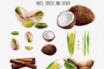 Botanica - watercolor set - Illustrations - 1