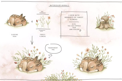 Botanica - watercolor set - Illustrations - 1
