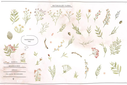 Botanica - watercolor set - Illustrations - 1