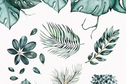 Botanica - watercolor set - Illustrations - 1