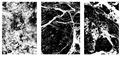 Botanica - watercolor set - Illustrations - 1