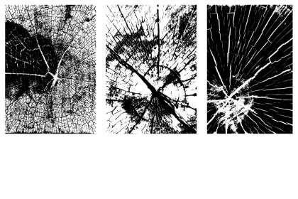 Botanica - watercolor set - Illustrations - 1