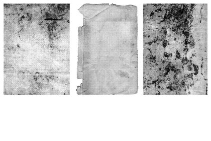 Botanica - watercolor set - Illustrations - 1