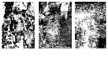 Botanica - watercolor set - Illustrations - 1