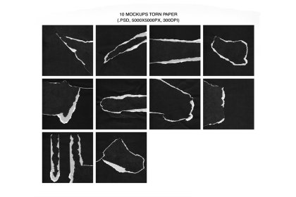 Botanica - watercolor set - Illustrations - 1