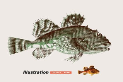 Botanica - watercolor set - Illustrations - 1