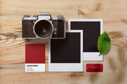 Botanica - watercolor set - Illustrations - 1