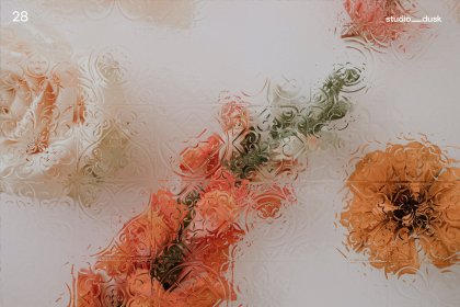 Botanica - watercolor set - Illustrations - 1